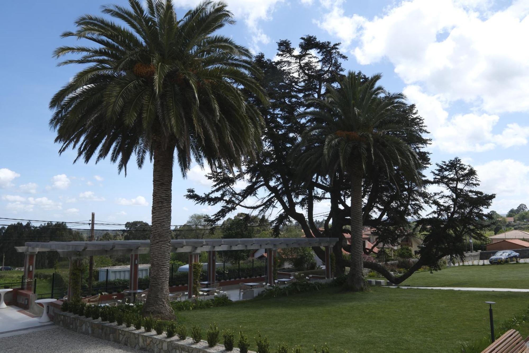 Hotel El Rosal De クディレロ エクステリア 写真